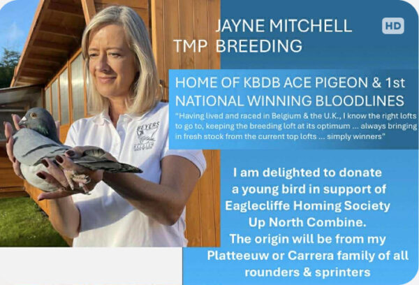 Jayne Mitchell LOT 1.27, Sale 2, Jayne Mitchell, TPM Breeding 1 x YB from Jaynes breeding stud that has produce top class pigeons for fanciers up and down the country...